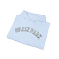 Spain Park block Unisex Heavy Blend™ Hooded Sweatshirt - joyful