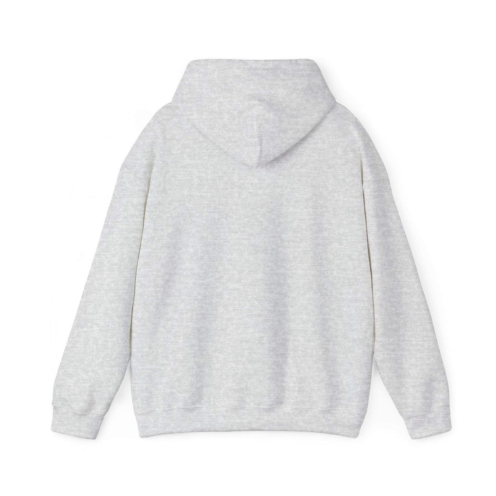 Spain Park block Unisex Heavy Blend™ Hooded Sweatshirt - joyful