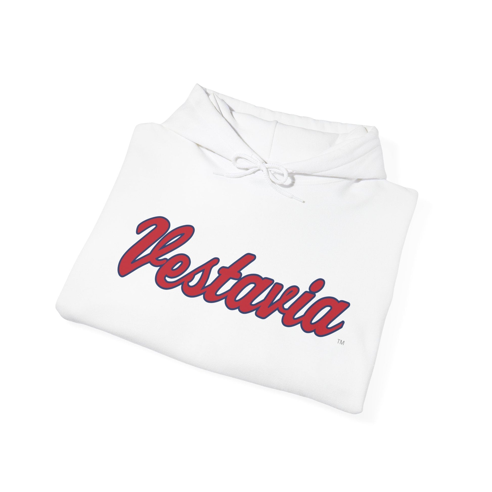 Vestavia Hills Mark Hooded Sweatshirt - joyful