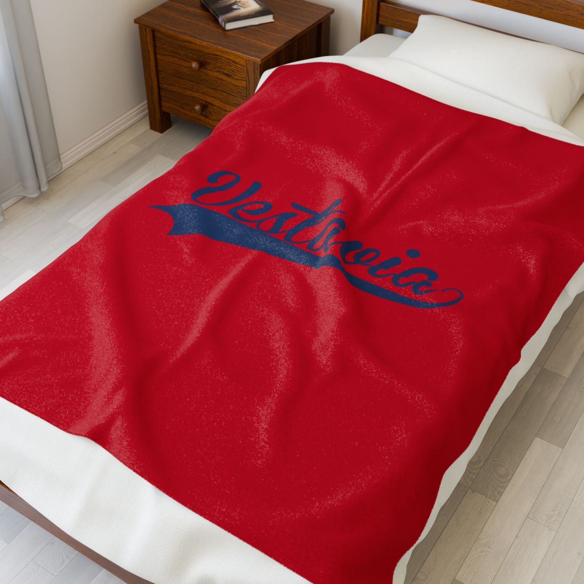 Vestavia Velveteen Plush Blanket - joyful