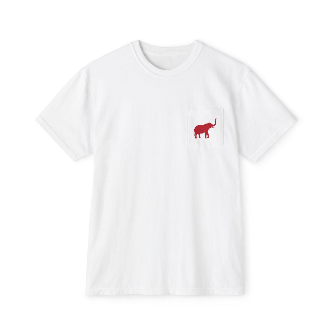 Alabama Saturdays in Tuscaloosa Unisex Garment - Dyed Pocket T-Shirt - joyful