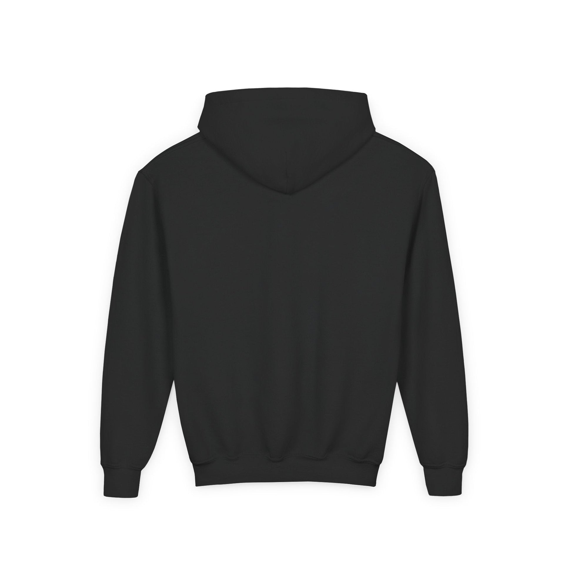 Hoover Baseball - Youth Heavy Blend Hooded Sweatshirt - joyful