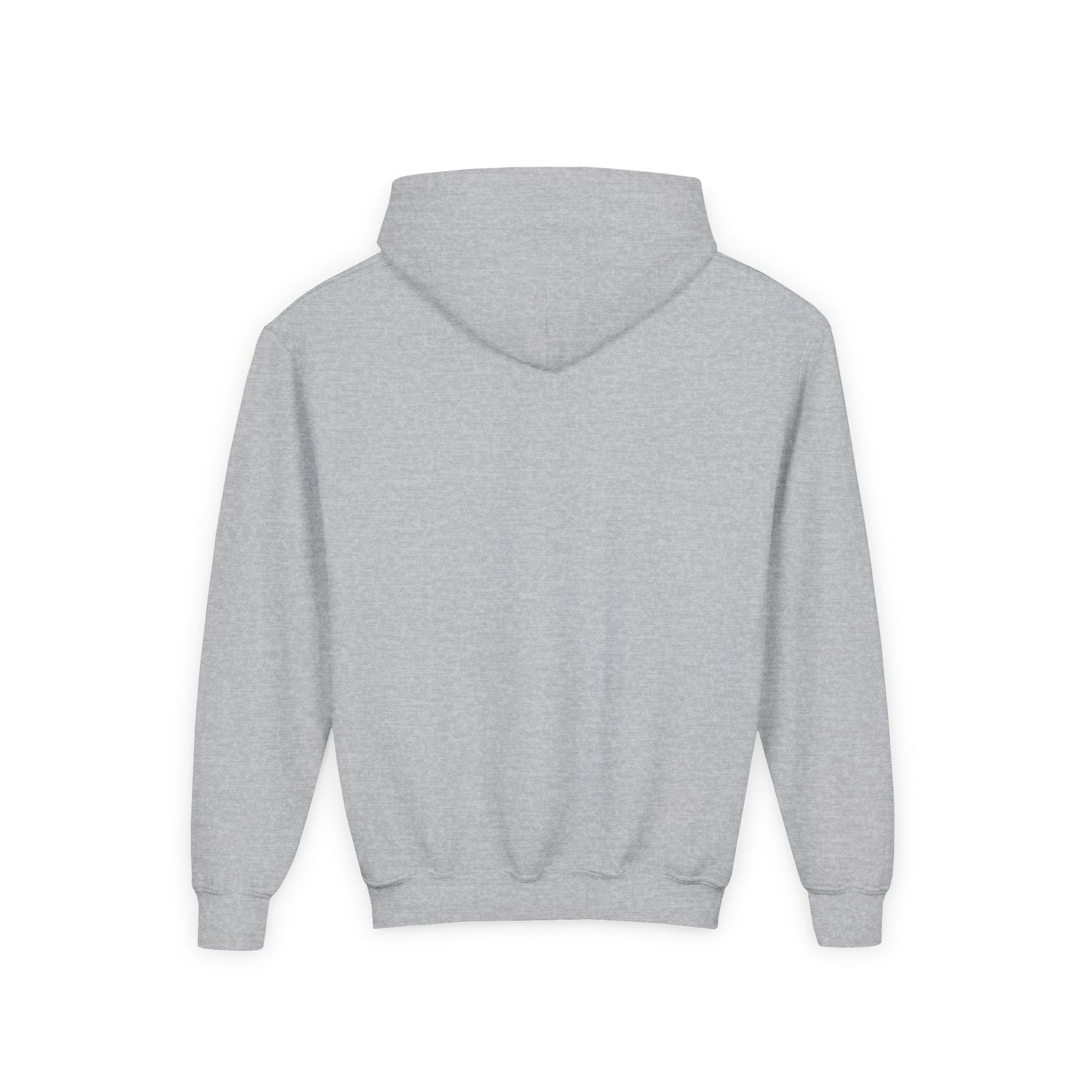 Hoover Baseball - Youth Heavy Blend Hooded Sweatshirt - joyful