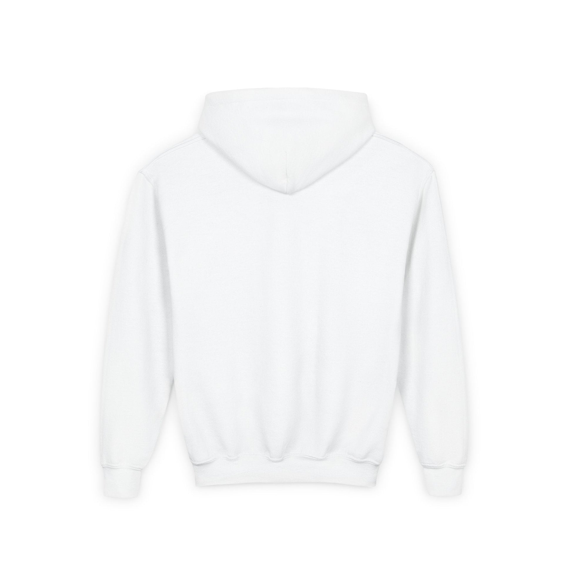 Hoover Baseball - Youth Heavy Blend Hooded Sweatshirt - joyful