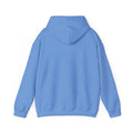 Spain Park block Unisex Heavy Blend™ Hooded Sweatshirt - joyful