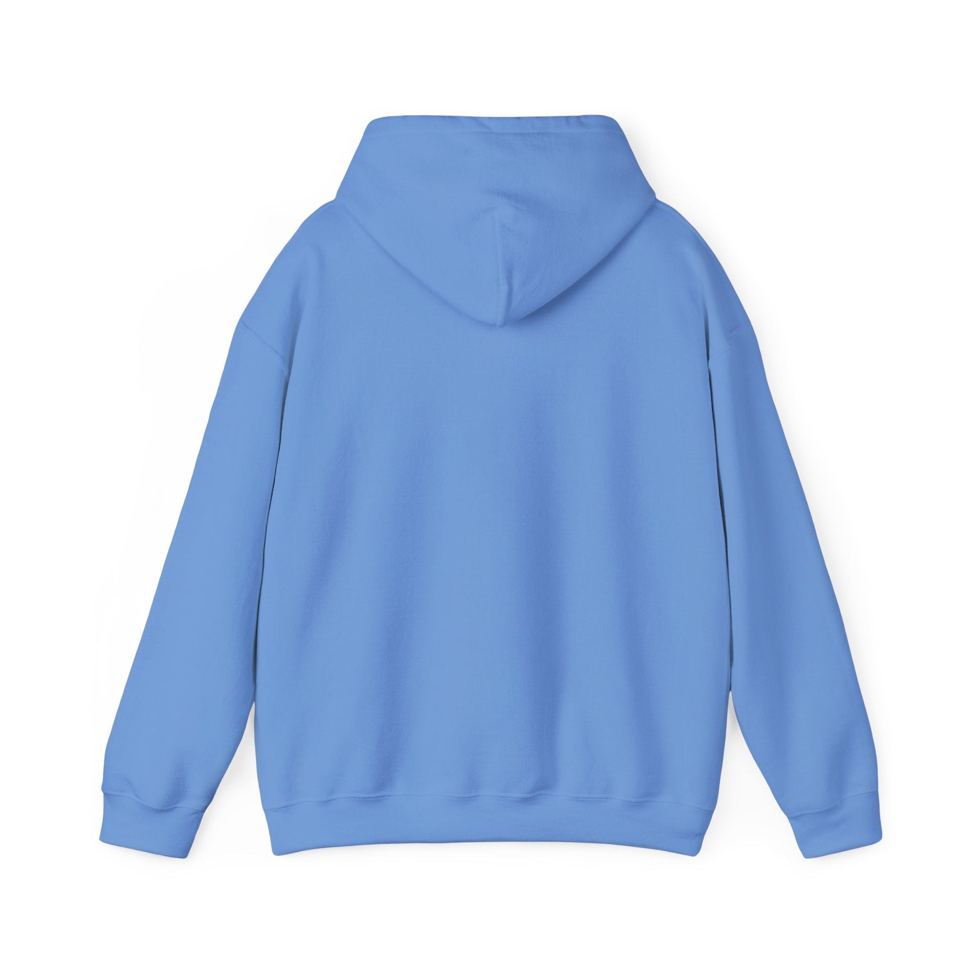 Spain Park block Unisex Heavy Blend™ Hooded Sweatshirt - joyful