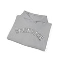 Spain Park block Unisex Heavy Blend™ Hooded Sweatshirt - joyful