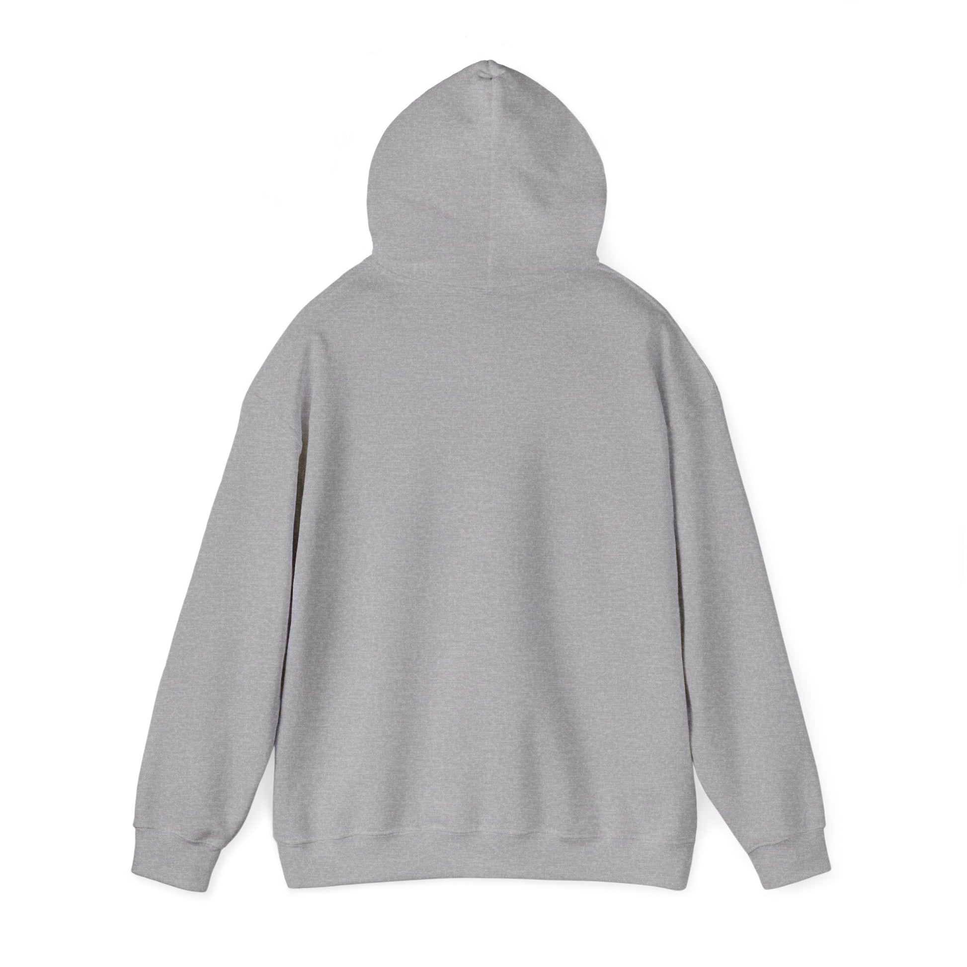 Spain Park block Unisex Heavy Blend™ Hooded Sweatshirt - joyful
