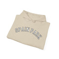 Spain Park block Unisex Heavy Blend™ Hooded Sweatshirt - joyful