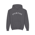 Spain Park Block Youth Heavy Blend Hooded Sweatshirt - joyful