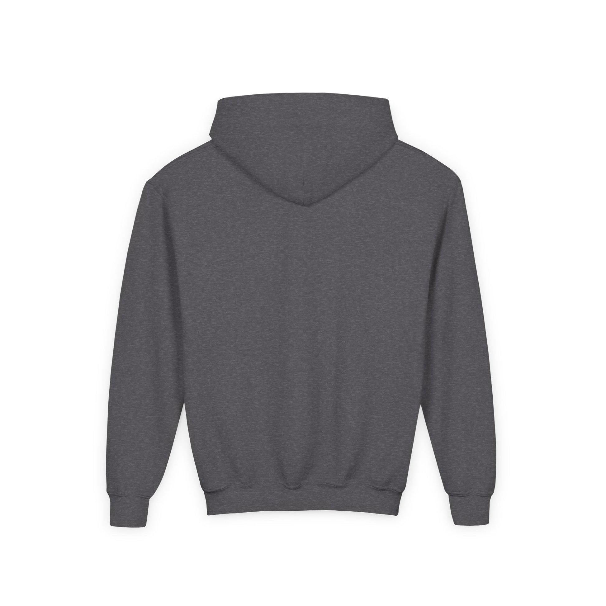 Spain Park Block Youth Heavy Blend Hooded Sweatshirt - joyful