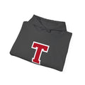 Thompson T Unisex Heavy Blend™ Hooded Sweatshirt - joyful