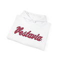 Vestavia Hills Mark Hooded Sweatshirt - joyful