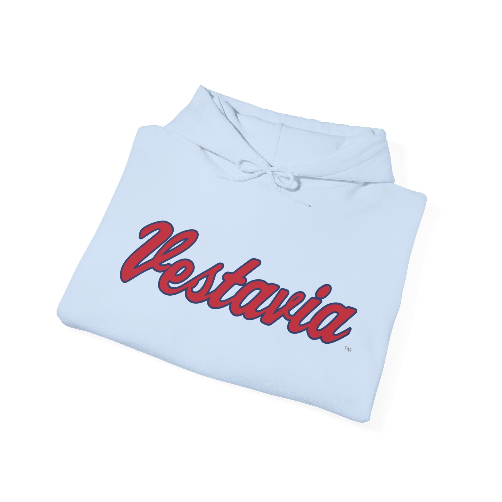 Vestavia Hills Mark Hooded Sweatshirt - joyful