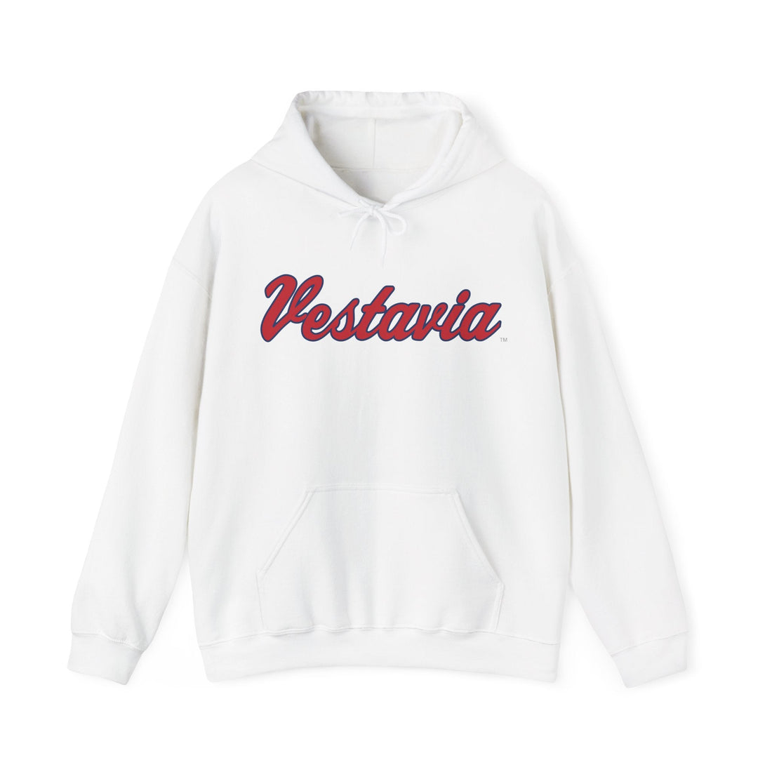 Vestavia Hills Mark Hooded Sweatshirt - joyful