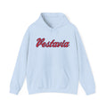 Vestavia Hills Mark Hooded Sweatshirt - joyful