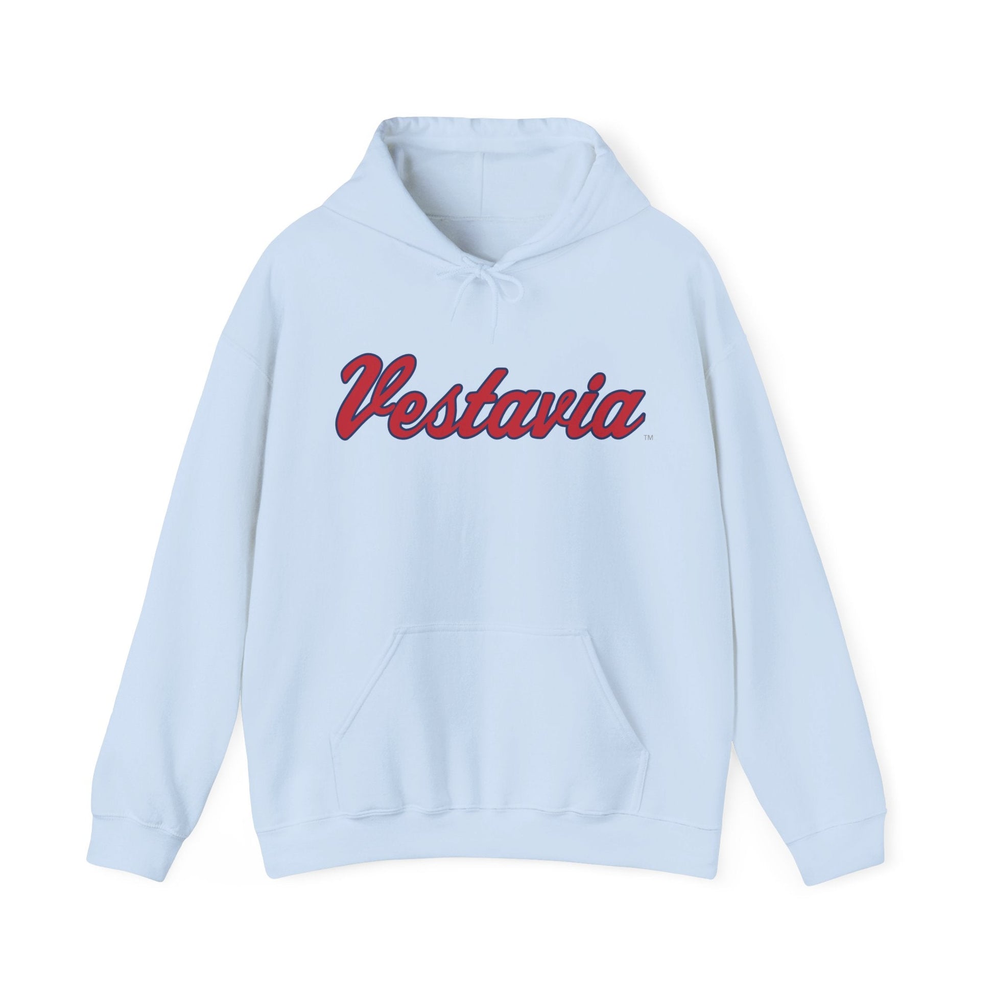 Vestavia Hills Mark Hooded Sweatshirt - joyful