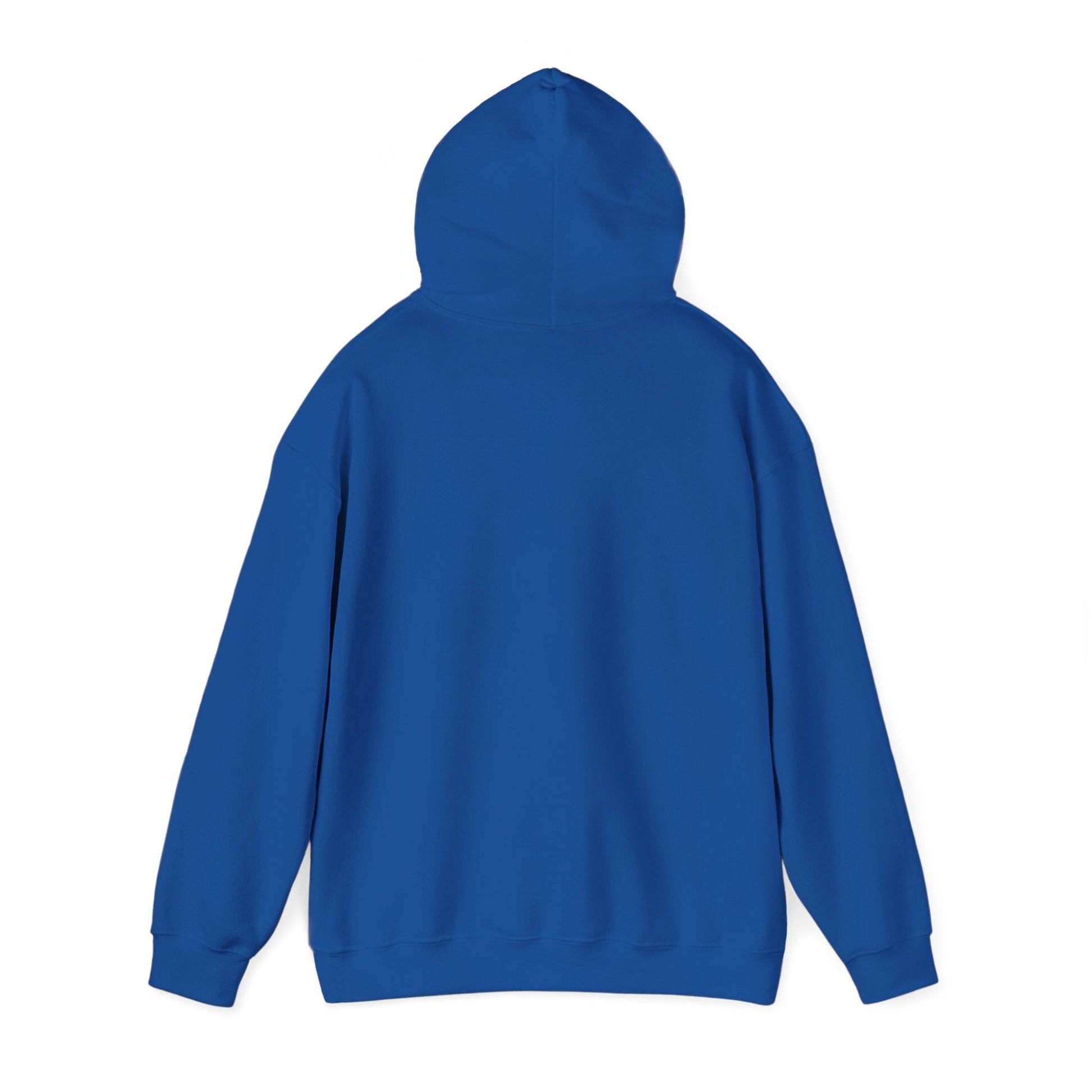 Vestavia Hooded Sweatshirt - joyful