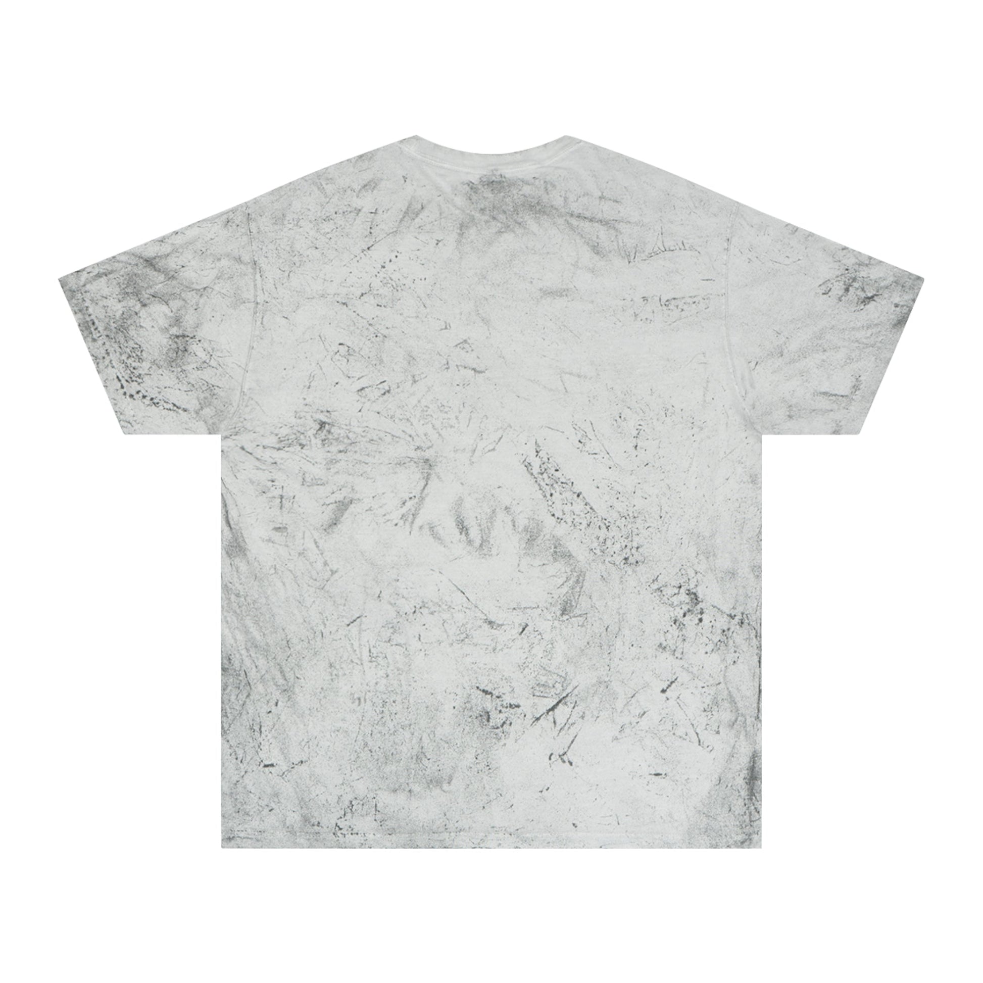 Vestavia - Liberty Park Unisex Color Blast T-Shirt - joyful